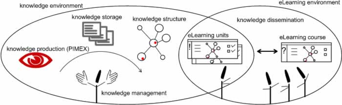 Knowledge and eLearning environment - 216644.2