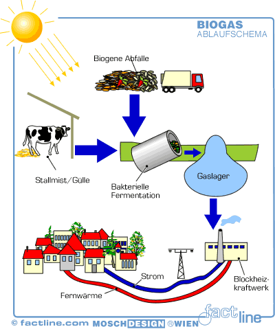 Biogas - 123405.1